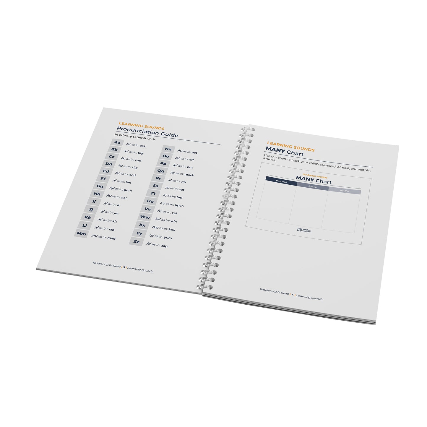 3 Course Bundle - Handouts