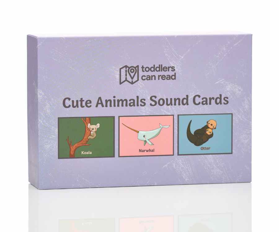 Cute Animal Flashcards
