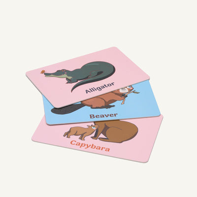 ABC Sound Flashcards