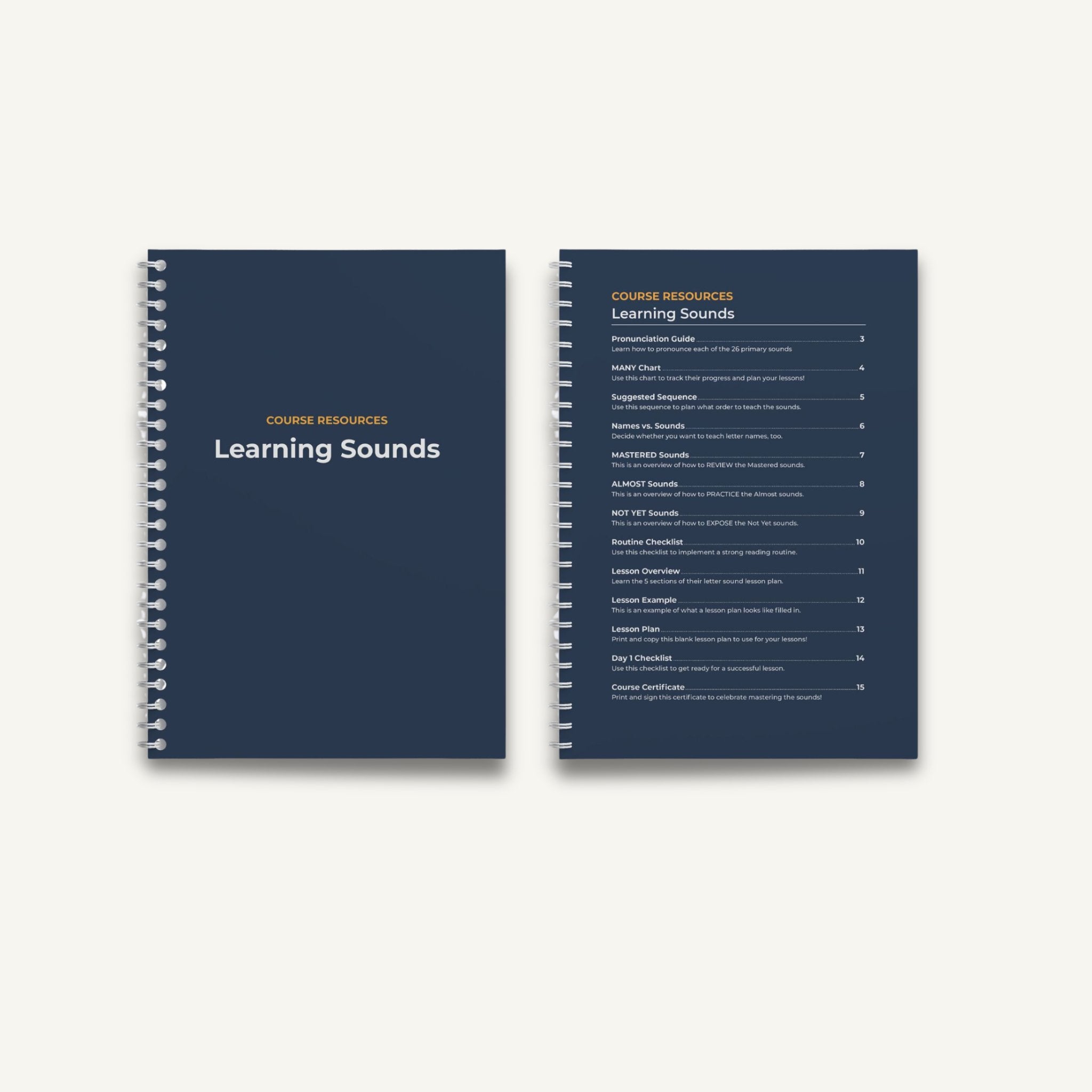 Beginning Letter Sounds Kit