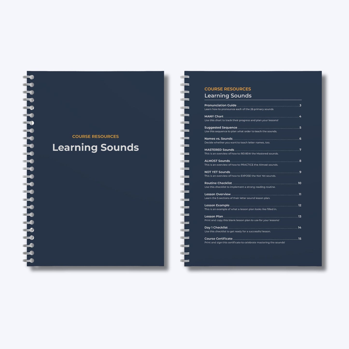 Beginning Reader Bundle