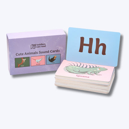 Beginning Reader Bundle