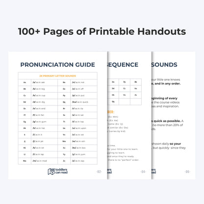 Full Course Bundle (All 3 Courses)